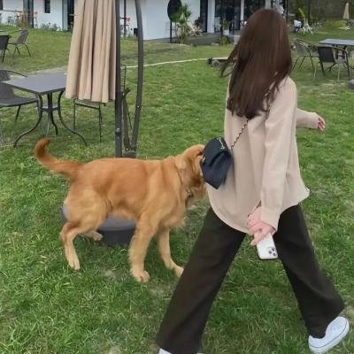 女高音们
